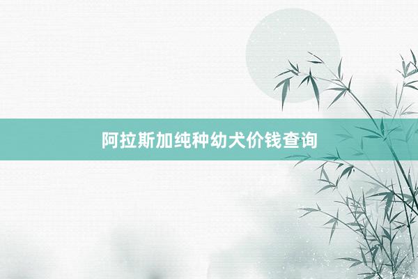 阿拉斯加纯种幼犬价钱查询