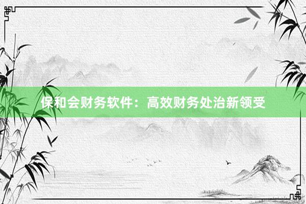 保和会财务软件：高效财务处治新领受
