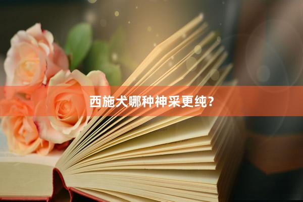 西施犬哪种神采更纯？